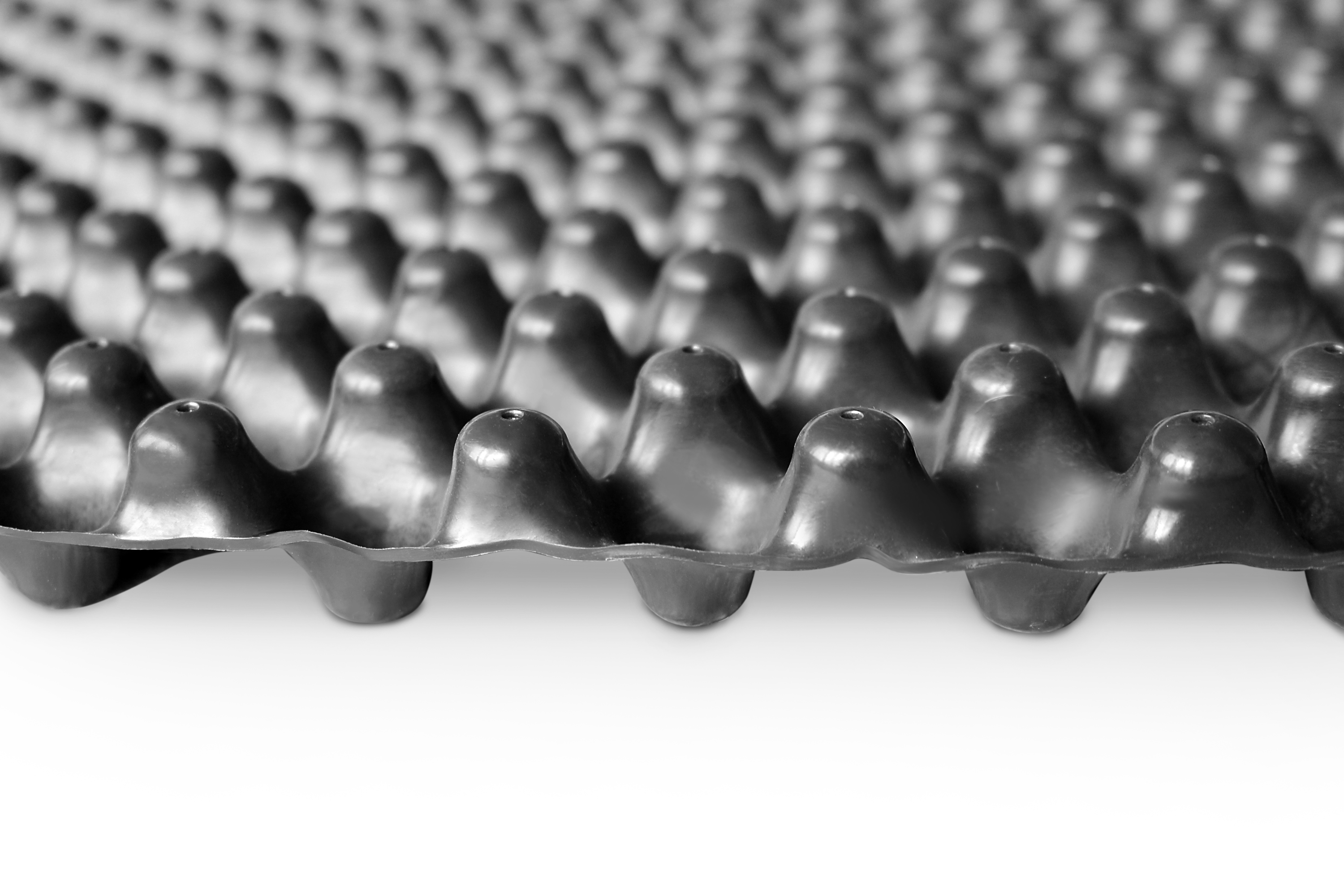 Sedum Carpet ZinCo Green Roof Systems UK